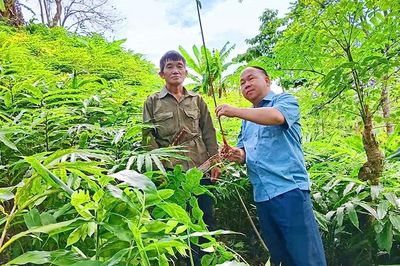 Nêu cao tinh thần trách nhiệm phục vụ người dân của đội ngũ cán bộ các xã vùng cao biên giới