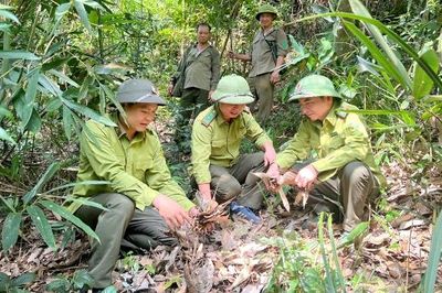 Bắc Ninh chủ động bảo vệ rừng trước cao điểm nắng nóng