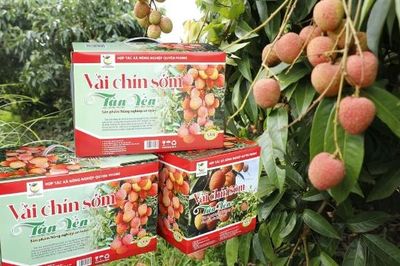 Đầu tư bao bì, tăng sức cạnh tranh