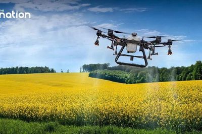 Drone trên cánh đồng Thái Lan
