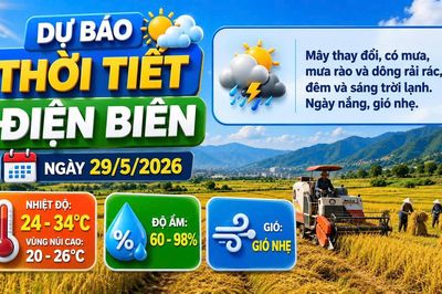 Bản tin Dự báo thời tiết ngày 29/5/2026