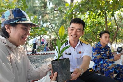 Mầm xanh trên cát mặn ở đảo Sinh Tồn Đông