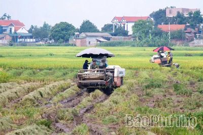 Lâm Thao khơi thông nguồn lực, tạo đột phá để tăng trưởng nhanh và bền vững