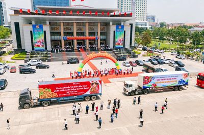 Central Retail đặt mục tiêu tăng gấp đôi sản lượng tiêu thụ vải thiều Bắc Ninh trong năm 2026