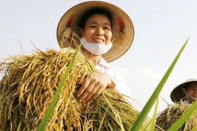 Đại hội đại biểu toàn quốc Hội Nông dân Việt Nam lần thứ IX sẽ diễn ra từ ngày 7 - 8/6