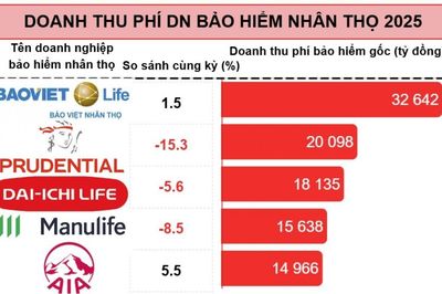 Thị trường bảo hiểm nhân thọ 'sáng dần', song nhiều doanh nghiệp lợi nhuận vẫn 'rùa bò'