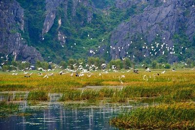 Hoàn thiện mô hình quản trị vườn quốc gia và khu bảo tồn thiên nhiên tại Việt Nam