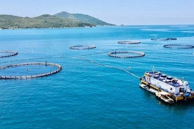 Hướng tới nông thôn mới xanh và số hóa, Khánh Hòa đẩy mạnh kinh tế tuần hoàn