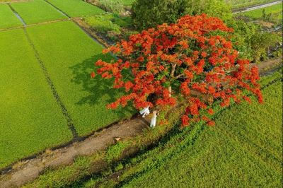Nhặt những tháng năm