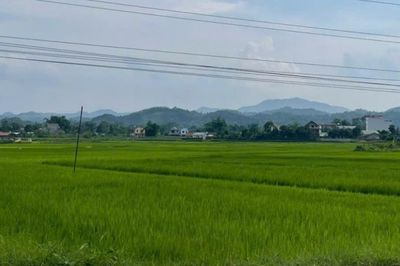 Thời tiết các khu vực trong tỉnh ngày 28/5 sáng nhiều mây, có mưa, mưa rào và dông