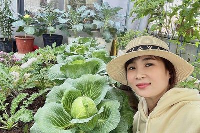 Cặp vợ chồng ở Đà Nẵng biến sân thượng 60 m² thành 'nông trại mini', rau trái xanh mướt quanh năm