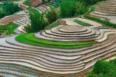 Ngắm vẻ đẹp bình yên của ruộng bậc thang Tả Van mùa nước đổ