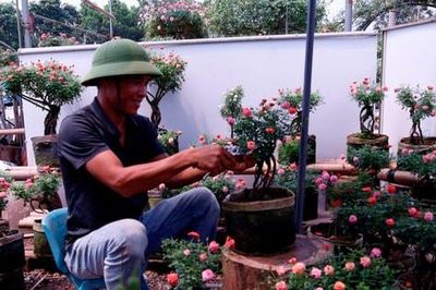 Người nông dân dành cả thập kỷ hiện thực hóa giấc mơ nâng tầm nghề trồng hoa Việt