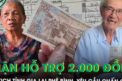Chủ tịch tỉnh Gia Lai phê bình phường vụ dân chờ hàng giờ nhận vài nghìn đồng hỗ trợ