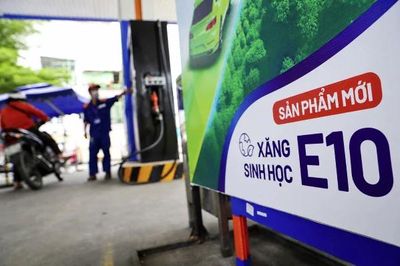 Chủ tịch Hiệp hội Xăng dầu khuyến cáo việc cần làm trước khi chuyển sang dùng xăng E10