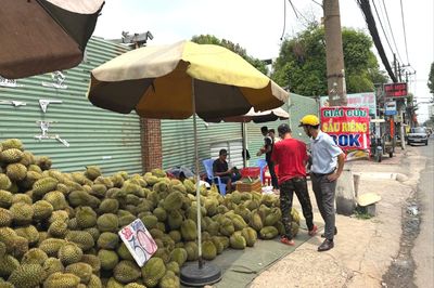 Vì sao sầu riêng vỉa hè TP.HCM có giá rẻ 30.000 đồng/kg?
