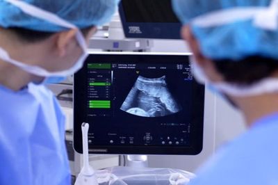 Y học bào thai được xác định là chuyên ngành mũi nhọn của y tế Việt Nam
