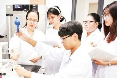 Năng lực số trong phát triển con người toàn diện