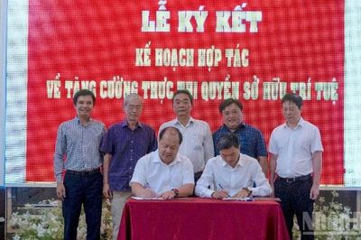 Sò huyết Cà Mau nhận chỉ dẫn địa lý, góp phần nâng tầm nông sản vùng mặn