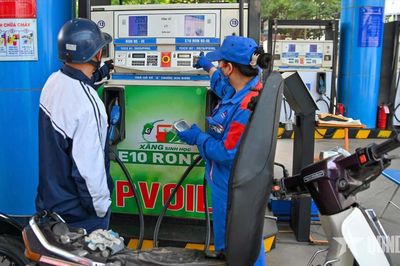 Những dòng xe nào tương thích với xăng E10?