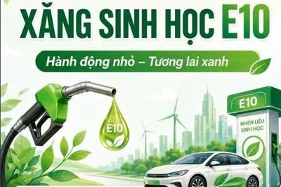Hải Phòng: 100% cửa hàng bán xăng E10 từ ngày 1/6