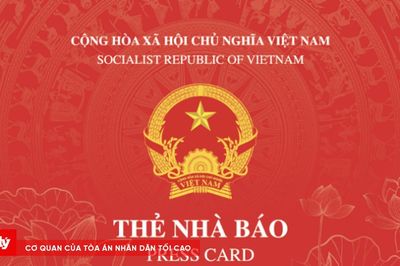 Thẻ nhà báo mới tích hợp mã QR nhận diện dữ liệu thời gian thực