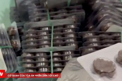 Triệt phá đường dây sản xuất, buôn bán thuốc đông dược trái phép