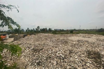 Hơn 324 tấn vỏ hàu đổ trái phép bên ao, chủ cơ sở bị khởi tố