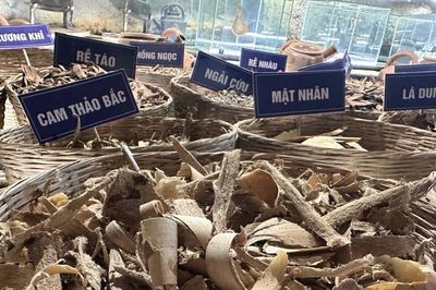 Bộ Y tế: 'Tháo gỡ' những bất cập để thúc đẩy phát triển y học cổ truyền