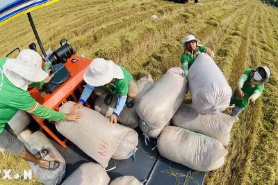 Việt Nam-châu Phi: Kết nối tri thức, mở rộng dư địa phát triển nông nghiệp