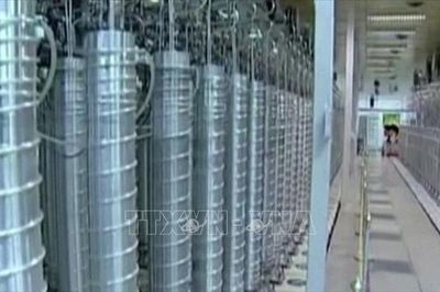 Đâu là yếu tố then chốt trong đàm phán giữa Mỹ và Iran?
