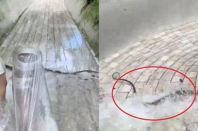 Đang chơi cầu trượt, người dân bất ngờ phát hiện cảnh tượng 'đáng sợ' giữa ban ngày