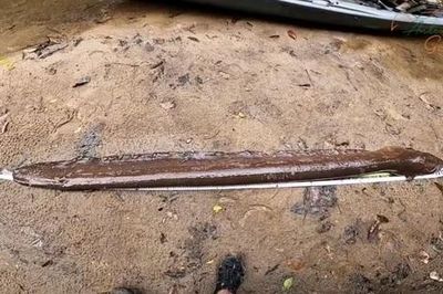 Người đàn ông bắt được con lươn điện dài 2 mét trên sông