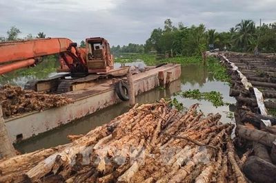Đồng Tháp khẩn trương khắc phục sạt lở bờ sông Phú An