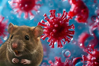 Thế giới virus đang biến đổi khó lường