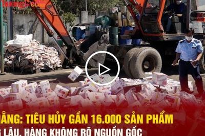 Đà Nẵng tiêu hủy gần 16.000 sản phẩm hàng lậu, hàng không rõ nguồn gốc