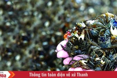 'Lộc trời'