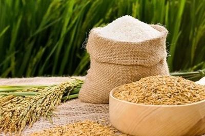 Thị trường lúa gạo ngày 29/5: Giá lúa neo cao, xuất khẩu gạo Ấn Độ sụt giảm