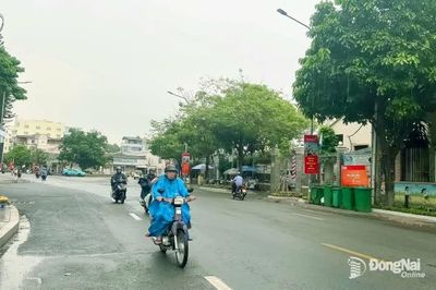 Đồng Nai: Dự báo đón đợt mưa lớn