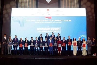 Vinachem thiết lập hợp tác chiến lược với DSM-Firmenich