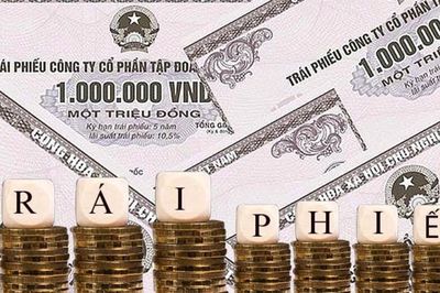 Năng lượng tái tạo Trung Nam phát hành hơn 2.100 tỷ đồng trái phiếu giữa áp lực nợ vay