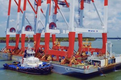 Dịch vụ biển Tân Cảng sắp trả cổ tức tiền mặt tỷ lệ 25%