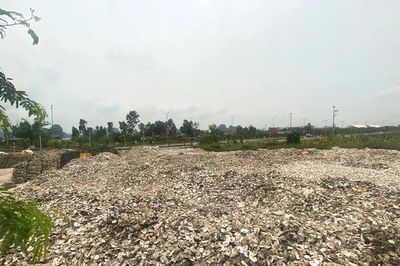 Khởi tố chủ cơ sở sản xuất đổ hơn 324 tấn vỏ hàu ra môi trường