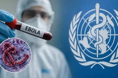 Bộ Y tế khuyến cáo người dân hạn chế đến vùng dịch Ebola