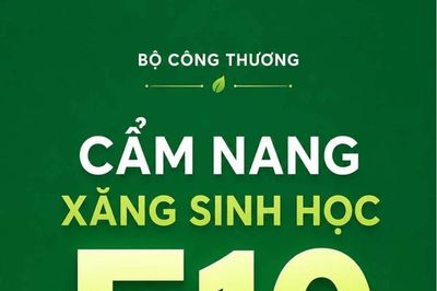 Cẩm nang sử dụng xăng sinh học E10