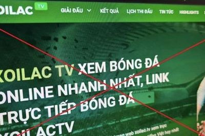 Đẩy lùi vi phạm bản quyền trên không gian mạng