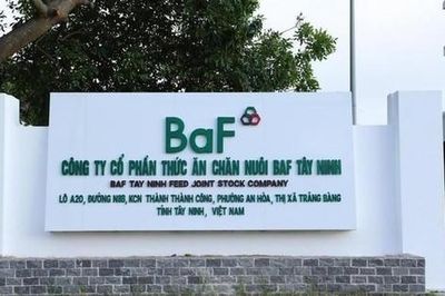BaF Việt Nam (BAF) dự phát hành hơn 60 triệu cổ phiếu cho cổ đông, nâng vốn điều lệ lên 3.648 tỷ đồng