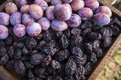 Mận khô California - lựa chọn đơn giản để bổ sung chất xơ mỗi ngày