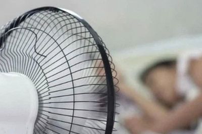 Bật quạt giải nhiệt mùa hè: 5 lỗi chí mạng 90% người Việt đang mắc phải