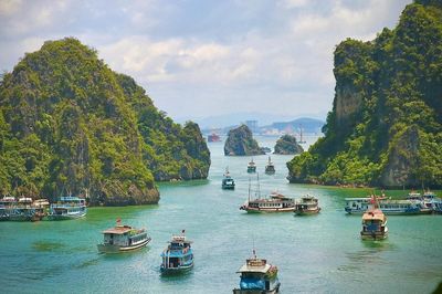 Quảng Ninh xử lý tàu cá neo đậu sai quy định trên vịnh Hạ Long